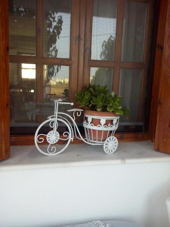 Athena'S Houses Skyros Exterior photo