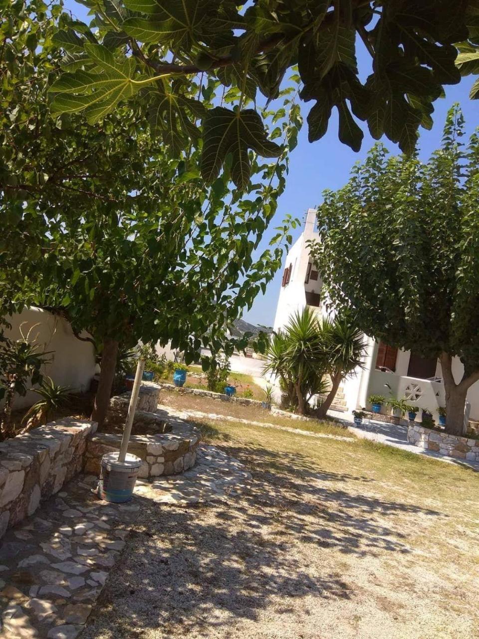 Athena'S Houses Skyros Exterior photo